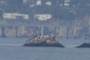 Seals