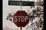 Hackberry STOP