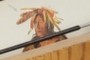 Native American