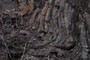 fold hinge