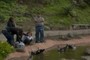 Jugando con los patos