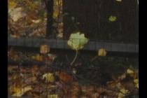 34243-210x140