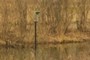 Bird House