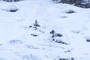 Tracks from a successful climb???