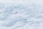 Crevaces on the Glacier