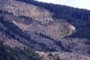 Large area where slide originated