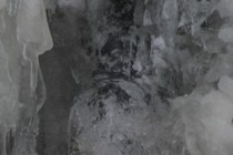 316029-210x140