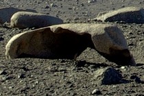 60844-210x140