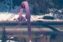 Bridge.