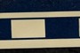 Scale