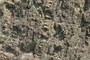 Brallier-type lithology
