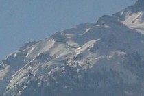 318439-210x140