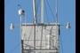 weather station
