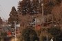 神社