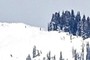 Finding a line to drop in