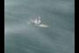 surfer