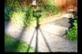 Gigapan Tripod