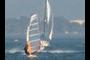 Windsurfer