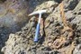 Hammer for Scale