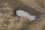 Small Puddle
