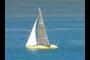 Expensive Racing Yacht