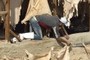 Tannery jobs