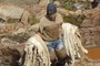 Tannery jobs