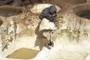Tannery jobs