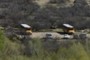 School Buses