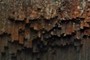 Drapes of rock
