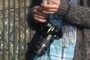 Canon Xsi