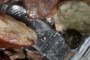 Obsidian?