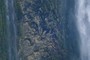 strata