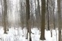 it's winter again