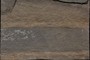 Scale
