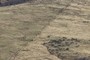 Fenceline
