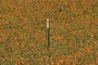 A Fencepost