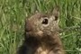 I'm ready for my closeup!