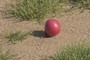 Red Ball or Baloon