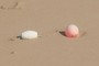 Floats of some kind?