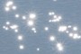 Sun Sparkles
