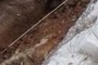 Iridium Layer