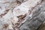 Below the Iridium Layer