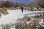 Skate Skier