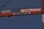 crane