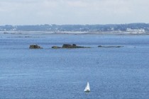 324452-210x140