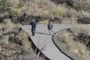 Boys on path