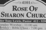 rose of sharon