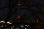 queen anne radio towers