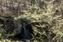 Hidden Waterfall